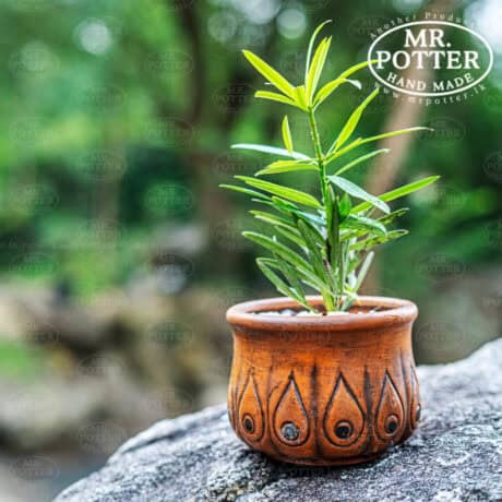 Vibrant green potted plant in handcrafted clay decorative pot, ideal for home decor or gifts.