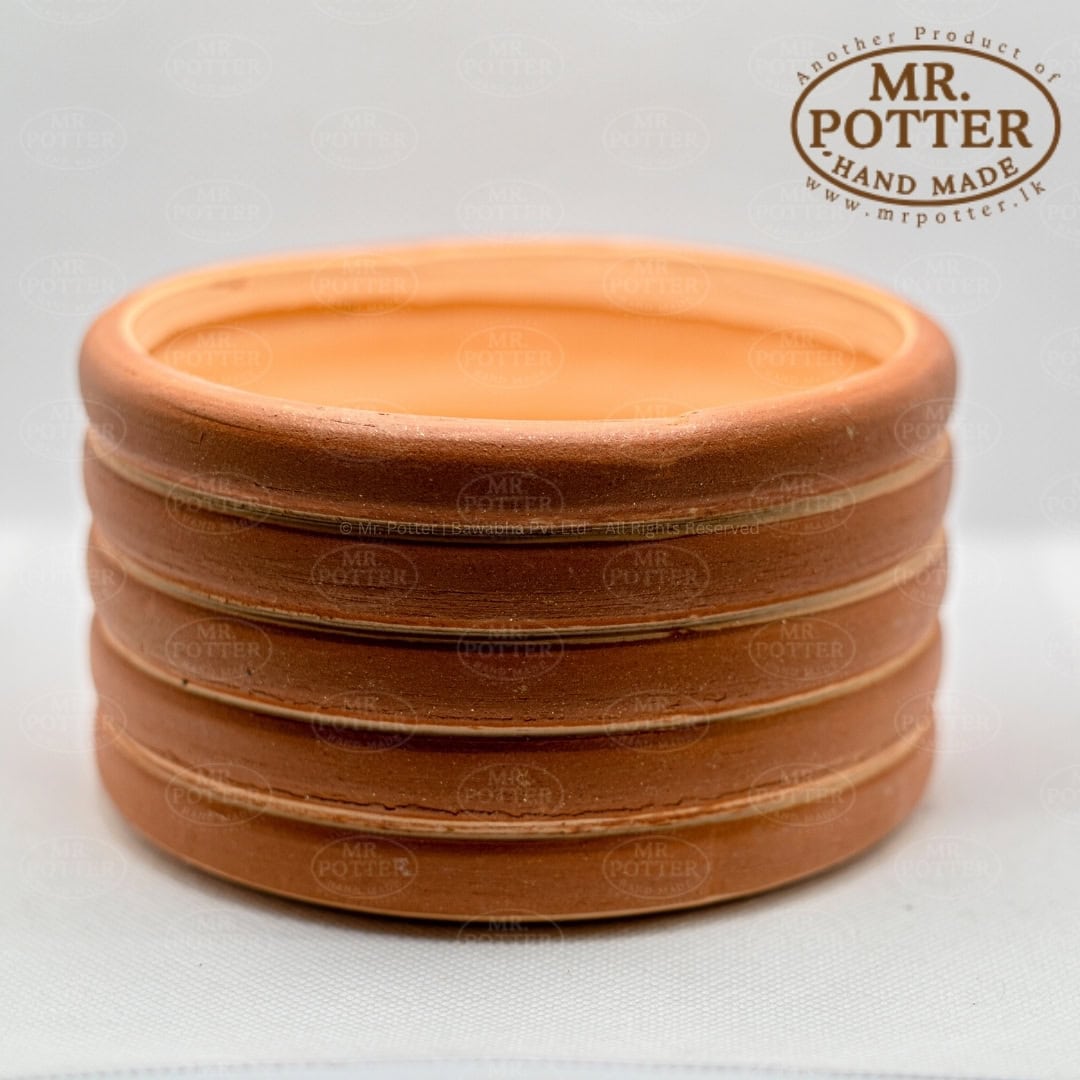 Handmade terracotta plant pot with rustic design | Mr. Potter Sri Lanka.