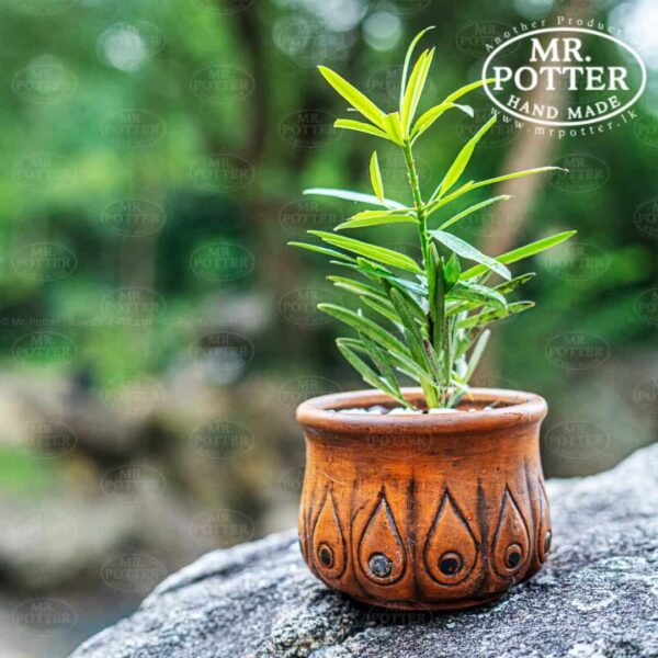 Vibrant green potted plant in handcrafted clay decorative pot, ideal for home decor or gifts.