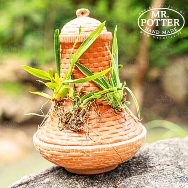 Vintage clay plant pot with green plants, crafted by Mr. Potter, Sri Lankan handmade pottery.